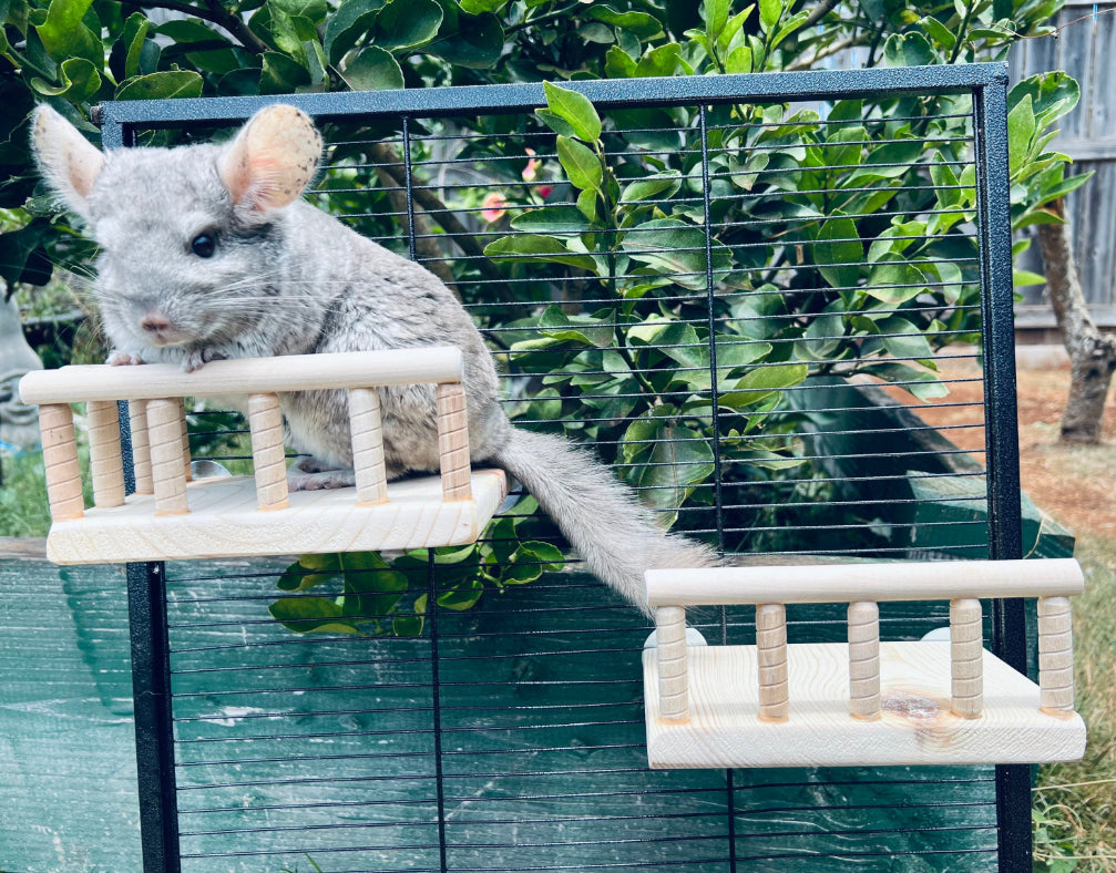 Kiln Dried Pine Wrap Around Railing Ledge for Chinchillas, Rats, Sugar Gliders, Degu and other Critters