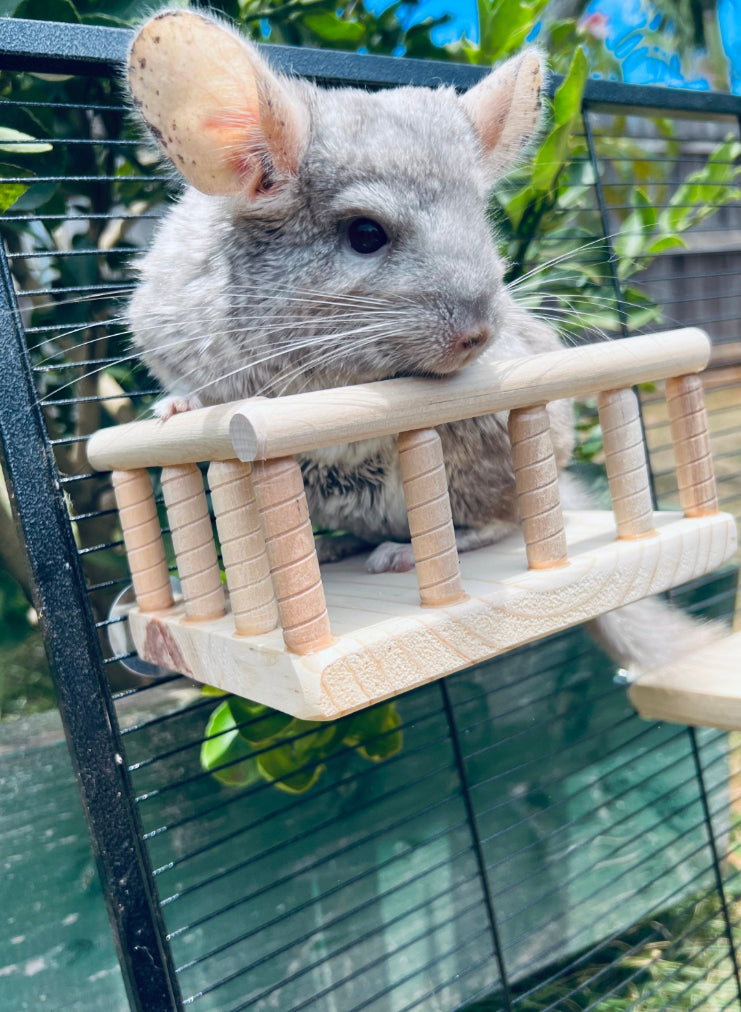 Kiln Dried Pine Wrap Around Railing Ledge for Chinchillas, Rats, Sugar Gliders, Degu and other Critters