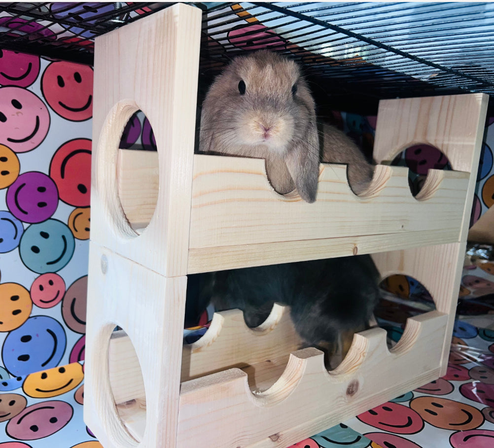 Double Decker Sky High Lanai Bridge: Small Animal Cage Hideout