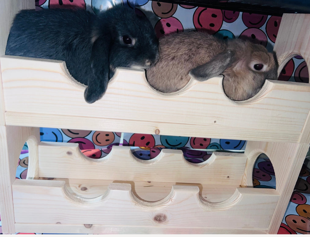 Double Decker Sky High Lanai Bridge: Small Animal Cage Hideout