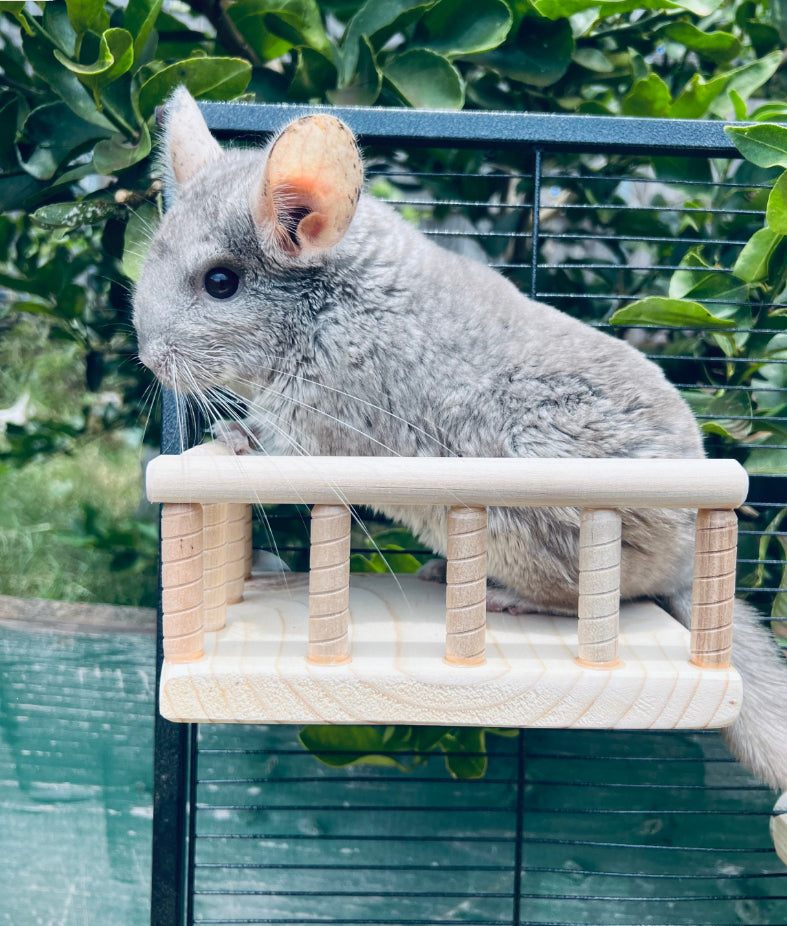 Kiln Dried Pine Wrap Around Railing Ledge for Chinchillas, Rats, Sugar Gliders, Degu and other Critters