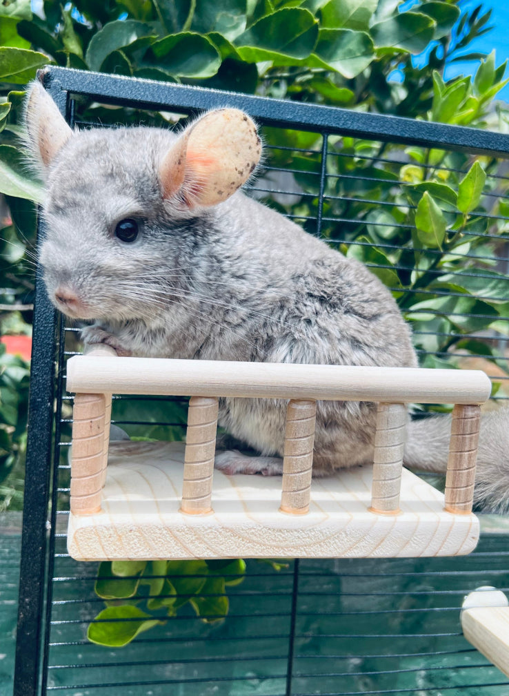 Kiln Dried Pine Wrap Around Railing Ledge for Chinchillas, Rats, Sugar Gliders, Degu and other Critters