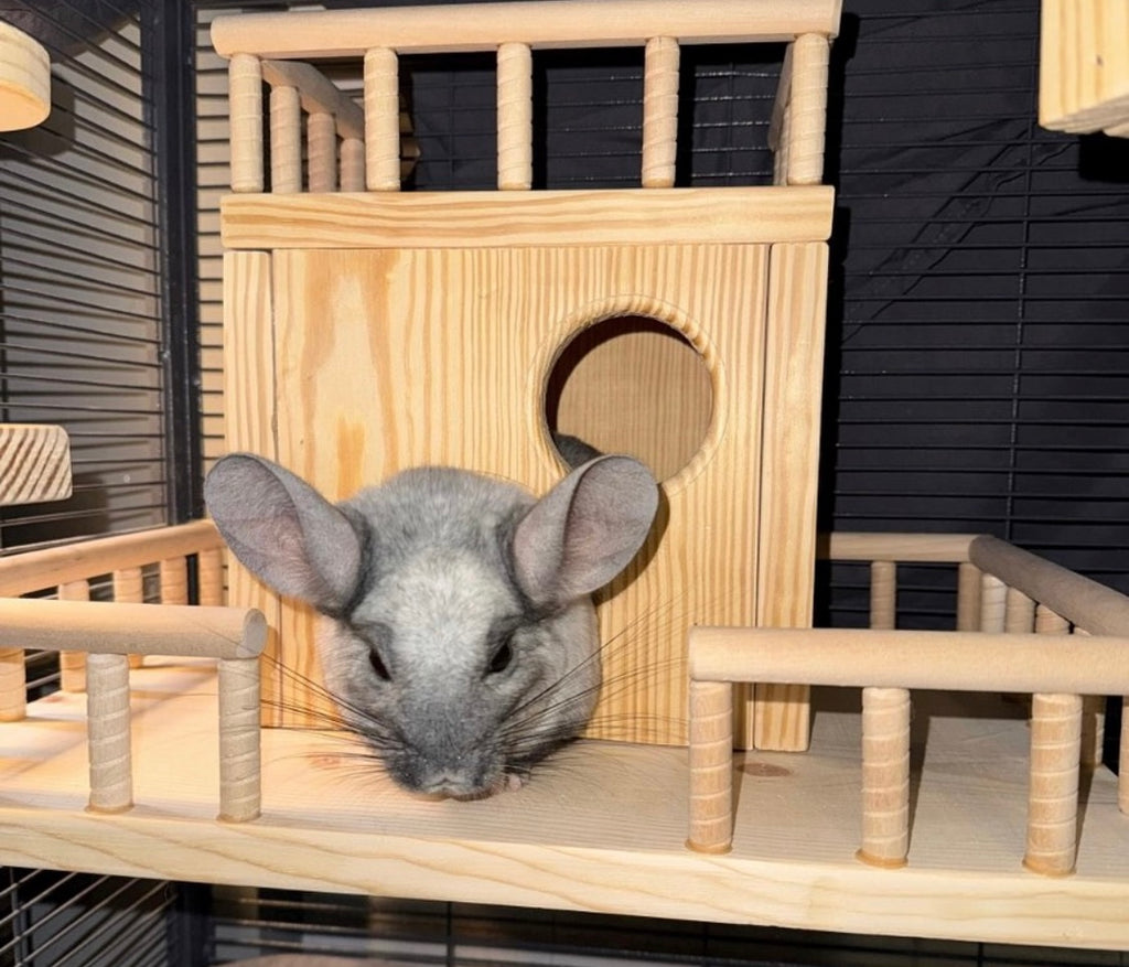 CrazyCritter 13-Piece Chinchilla Cage Set: Bridge, Ledges, Hideout & Stairs