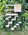 Crazy Critter 11 pc Kiln Dried Pine Chinchilla//Rat//Degu//Squirrel Cage Set up with Ledges Steps and Tunnel//Hideout