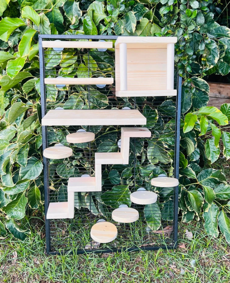 Crazy Critter 11 pc Kiln Dried Pine Chinchilla//Rat//Degu//Squirrel Cage Set up with Ledges Steps and Tunnel//Hideout