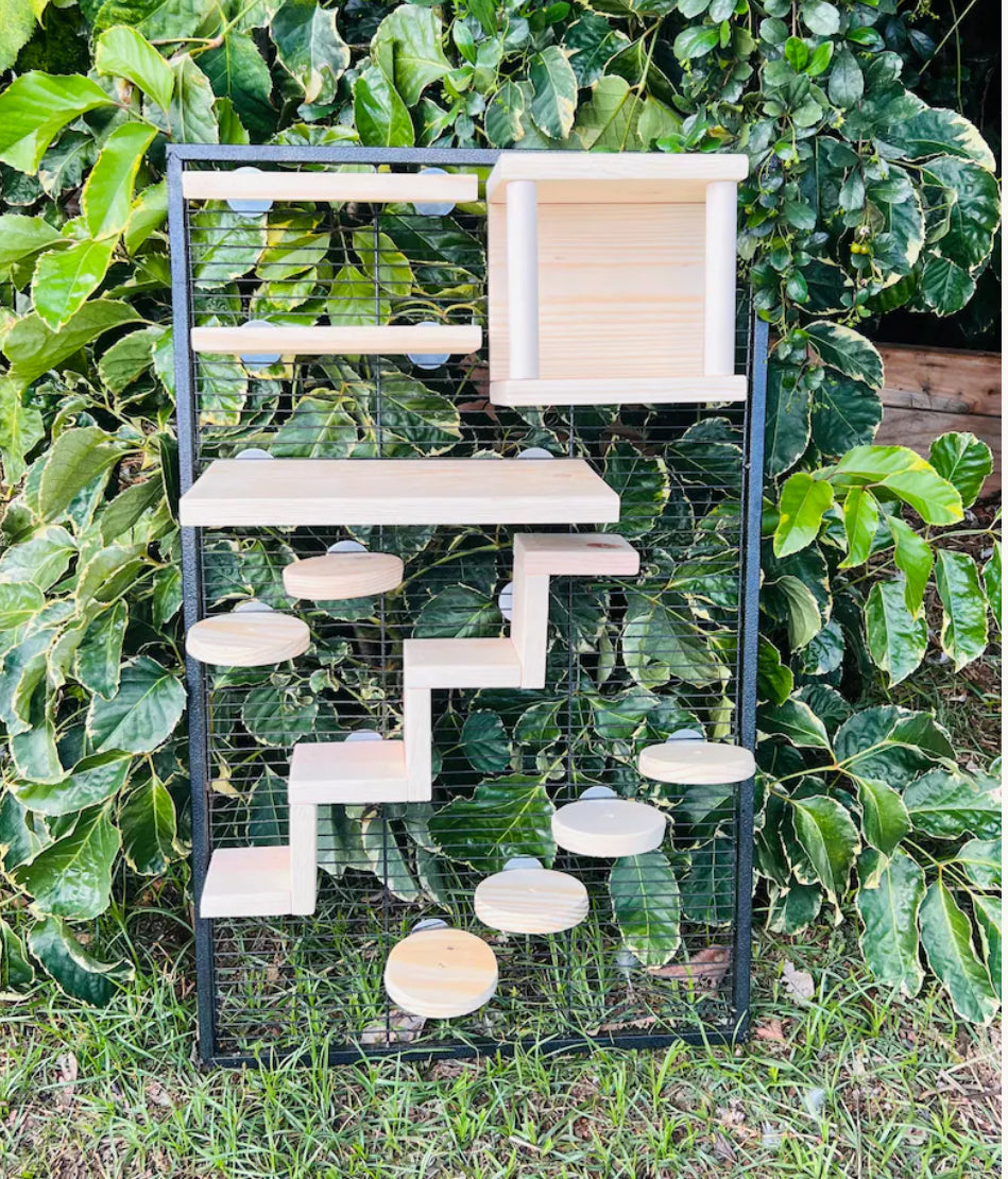 Crazy Critter 11 pc Kiln Dried Pine Chinchilla//Rat//Degu//Squirrel Cage Set up with Ledges Steps and Tunnel//Hideout
