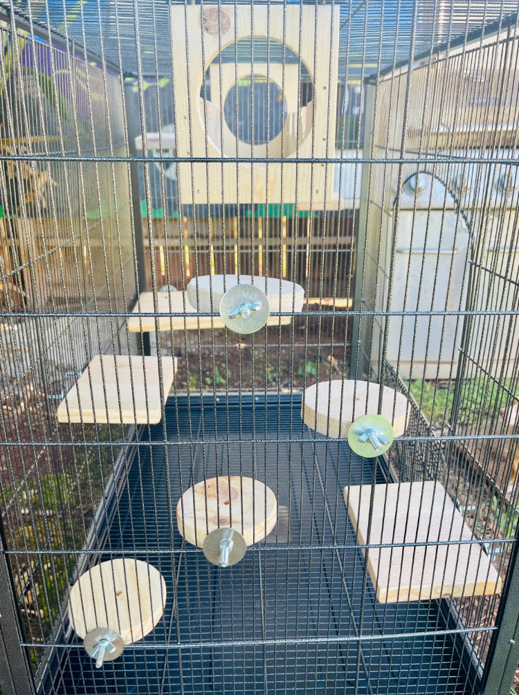 10 piece Cage to Castle Bundle, includes Sky High Bridge, Peekaboo ledge, Lily Pads & Steps for Chinchillas Rats Squirrels