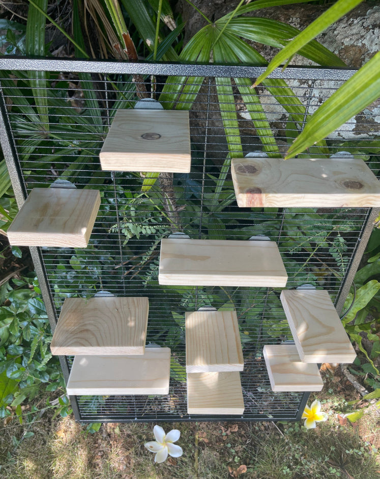 Kiln Dried Pine 10 piece Ledge Set for Chinchillas and Small Animals