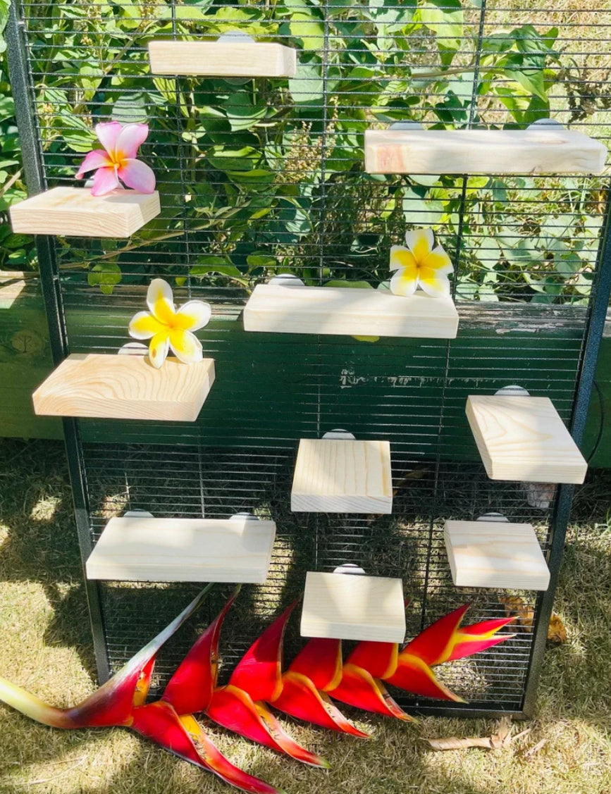 Kiln Dried Pine 10 piece Ledge Set for Chinchillas and Small Animals