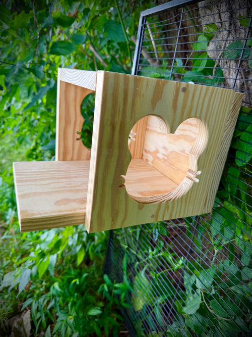 Chinchilla House Hide Out With Cute Chinchilla Face Cut Out Made Of Kiln Dried Pine