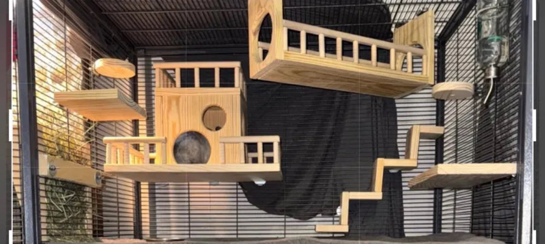 CrazyCritter 13-Piece Chinchilla Cage Set: Bridge, Ledges, Hideout & Stairs