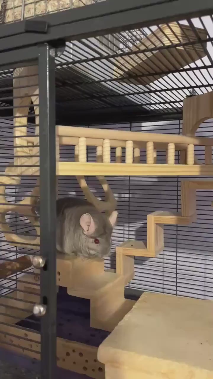 CrazyCritter 13-Piece Chinchilla Cage Set: Bridge, Ledges, Hideout & Stairs